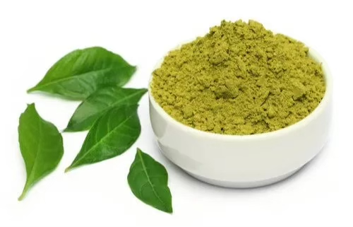 Curry leaves powder